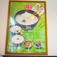 めしや食堂　神戸多聞店でのランチ　on　2025-6-12