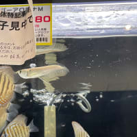 浜松