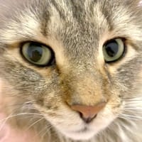 ５歳のレオンくん