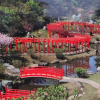 東北地方8日目