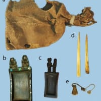 この幻覚植物は南米の古代の儀式に登場する
