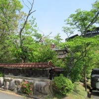 木津温泉（ゑびすや）周辺の自然・環境