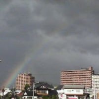 ガラナpv ねことすきま