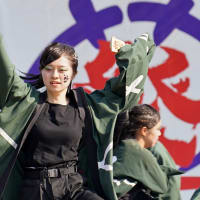 犬山踊芸祭２０２４　信州大学YOSAKOI祭りサークル和っしょい