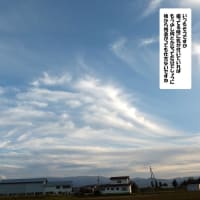 ネコたちと散歩で見つけた雲 ４