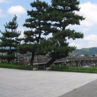 京都竜安寺庭園