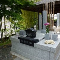 妙蓮寺の犬の廟