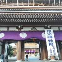 お出かけ親友ミッフィー
