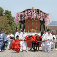 京都　葵祭       (15日)