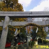 一般的なしめ縄に移った下三橋町風神社事例から考える地域文化の継承