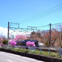 4/26（金）のPACニュース～追分＆軽井沢周辺の情報