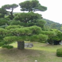 広島旅行の続きです。