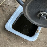 管理機のオイル交換とコスモスとマリーゴールドの苗を植えました