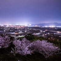 香風台展望台からの夜桜