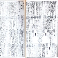 愛と魑魅魍魎の漢和辞典『新字鑑』塩谷温。言葉・言の葉。『百年の孤独』と「構造主義」（妻女山里山通信）