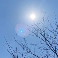 新型コロナ陽性から５日目、症状はほとんどありません