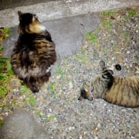 いつもどおり。