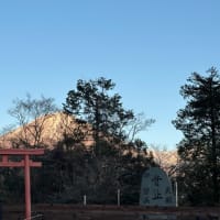 紅富士 