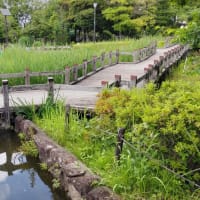 荒川自然公園