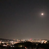 写真を複数枚入れる練習