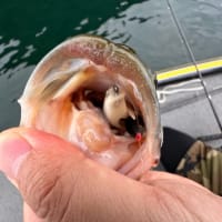 琵琶湖釣行　その１