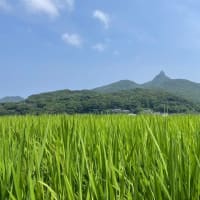 夏本番