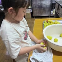 ６月２０日　今年も梅仕事行いました。美味しくなりますように！！