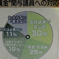 長月9日（月）重陽の節句ですね、暑くなりそう。