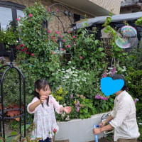 連休も終わり…