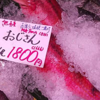 ちんちろげ