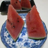 質素に少量-今日も元気----肉ジャガ、明太子、パイナップル、スイカ、豚肉の生姜汁