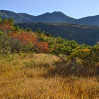 東北の秋山撮影と異常気象