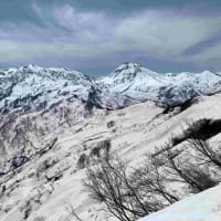 Gツアー放山