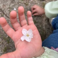今年度もあと少し…