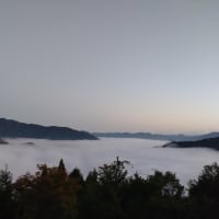 雲海の名城