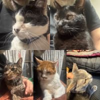 2025/6/28の歯磨きタイム