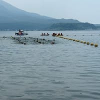 海練習1回目