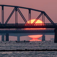 吉野川河口の朝陽