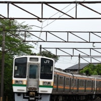 三岐鉄道 伊勢治田(2025.5.18) 旧ＪＲ東海 ２１１系 ＬＬ１、ＳＳ８、ＬＬ９、ＳＳ７編成 留置車