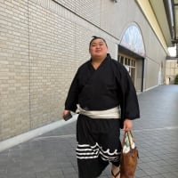 大の里関❣️ オットの北海道土産を携えて帰宅
