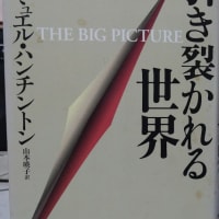 米中依存から脱却し国家として身構える日本にすべきだ