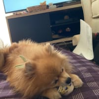 お久しぶりです。