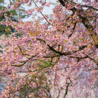 青森・北海道の撮影旅行その８