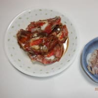 　釣魚下処理オニカサゴ他　本日兜割りと胃袋頂きました！
