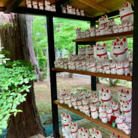 豪徳寺