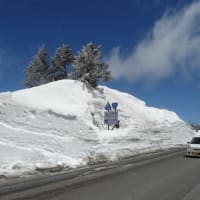雪の回廊、草津志賀高原道路