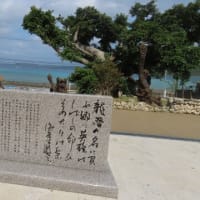 動画　奄美大島龍郷町の西郷小浜公園に建てられた「西郷隆盛 家族の像」