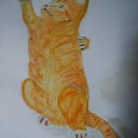  the mystery of ginger cats 