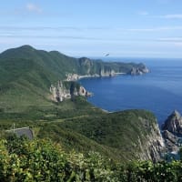 07/12思い出の旅日記　五島：大瀬崎への鳥見行-1（大瀬崎園地の模様）