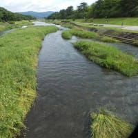 16日、京都府立植物園からの真夏日便り＆癌治療